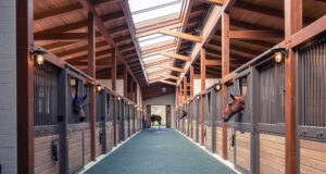 View of 12 horse stalls with horse four horses
