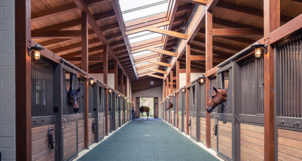 View of 12 horse stalls with horse four horses